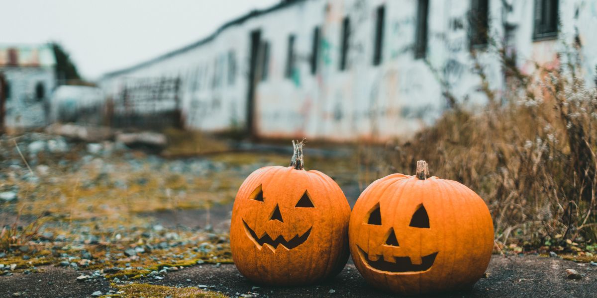 Pumpkin Day: The Coolest Destinations for National Pumpkin Day!