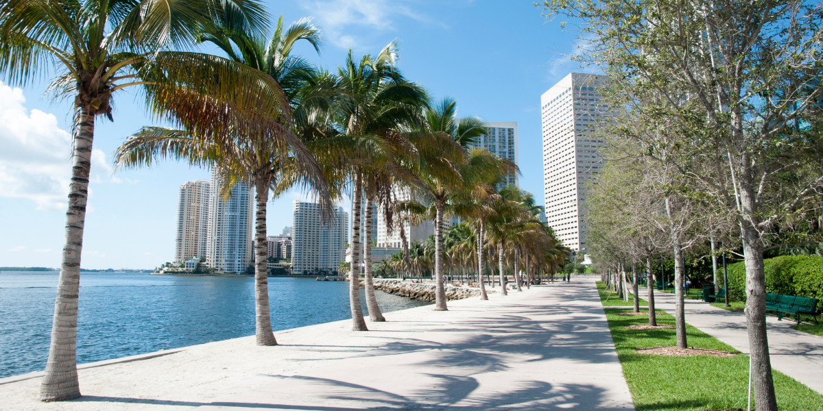 Family Trip to Florida? Find the Best Kid Friendly Spots in Miami!