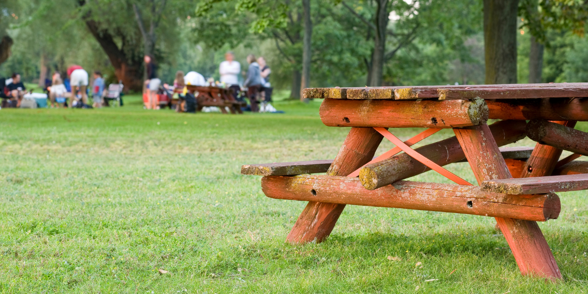 Best Place for Picnic: Secret Spots You Need to Discover