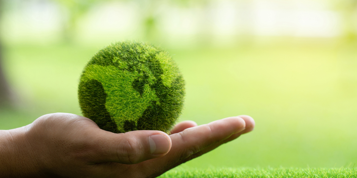The 10 Prime Locations for Celebrating Earth Day in us
