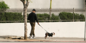 The Ultimate Guide to Dog Friendly Places in Los Angeles