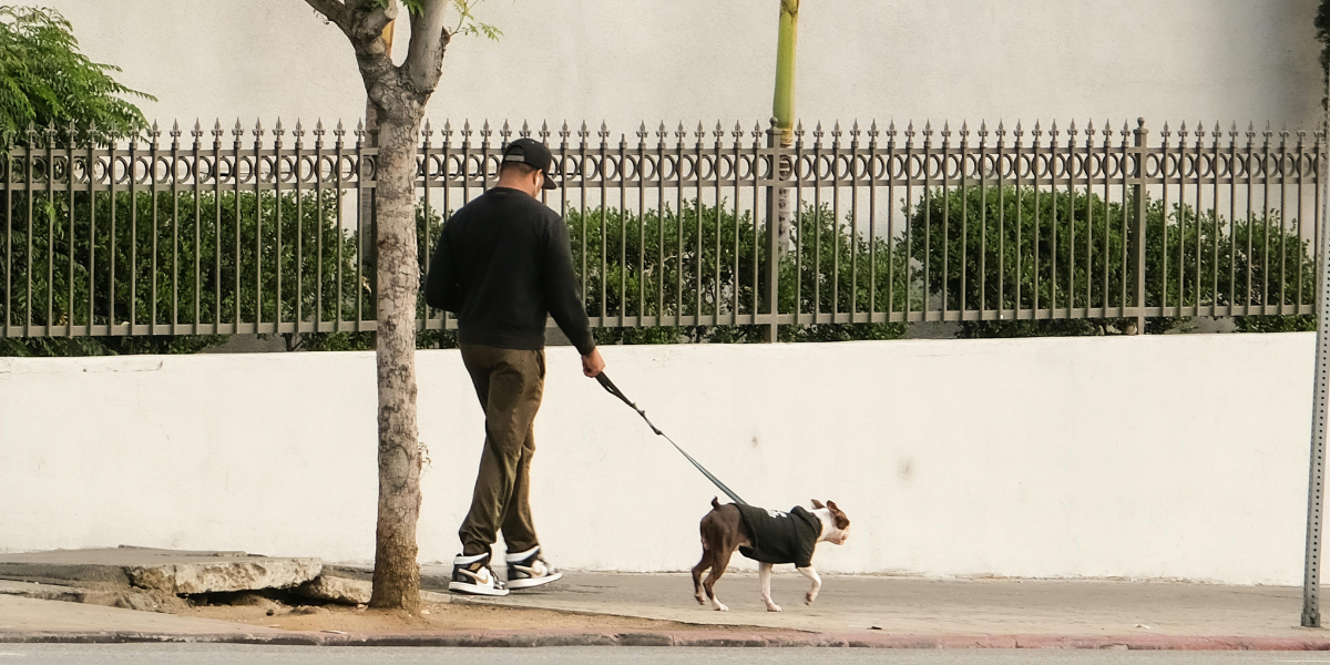 baggage-limits-excess-fees