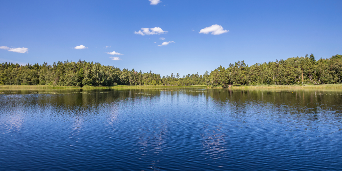 The Ultimate Guide to Planning a Perfect Great Lakes Vacation