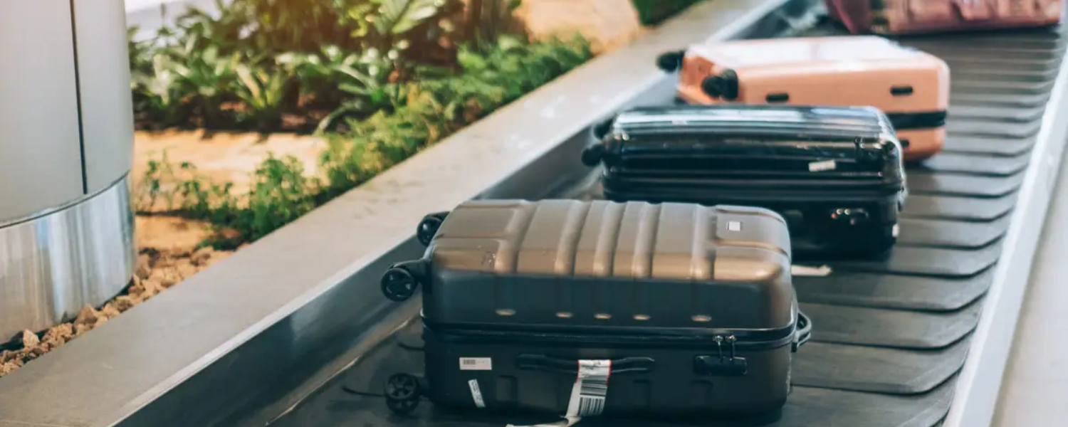 Checked Baggage Fees & Charges