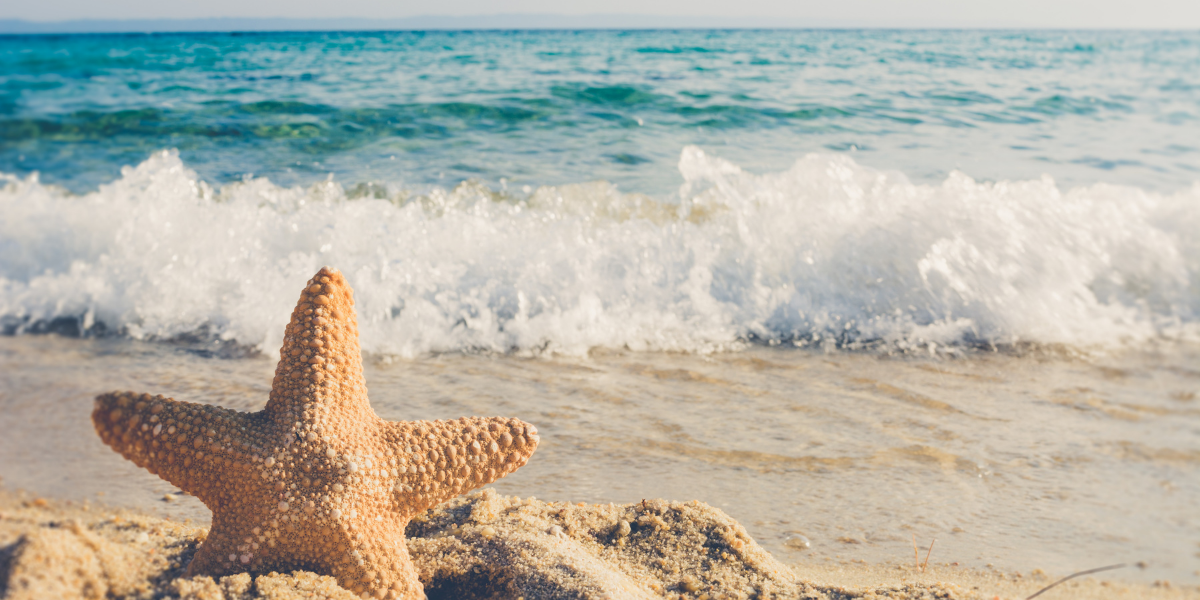 Best Bucket List Beaches